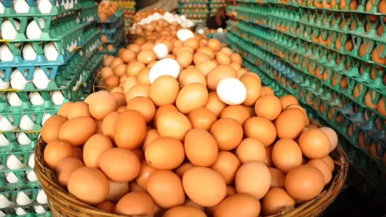 সাড়ে ৪ কোটি ডিম আমদানির অনুমতি