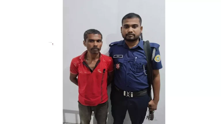 ভোলায় পূজা মণ্ডপের গেইট ভাঙচুর, আটক ১
