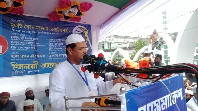 উন্নয়নের মিথ্যা গল্প শুনিয়েছে আওয়ামী লীগ: চরমোনাই পীর