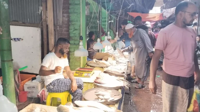 বরিশালের ইলিশ শুধু ভারত নয়, আন্তর্জাতিক বাজারেও রপ্তানির অনুমোদন প্রয়োজন