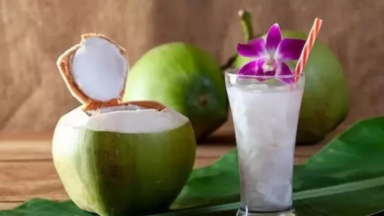 গরমে ডাবের পানি কতটা জরুরি?