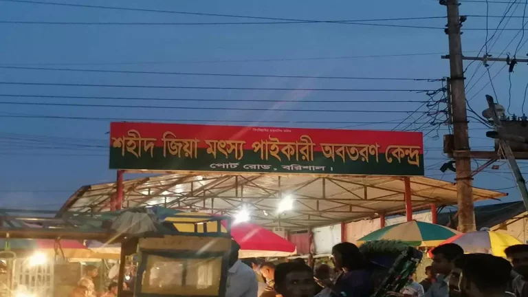 শহীদ জিয়ার নামে ফিরলো বরিশালের পোর্ট রোড ইলিশ বাজার