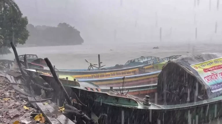 ঘূর্ণিঝড় দানার প্রভাবে ঝালকাঠিতে ভারি বৃষ্টি, গাছ পড়ে গরুর মৃত্যু