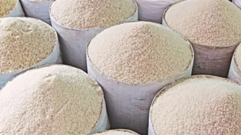 চালের আমদানি শুল্ক পুরোপুরি প্রত্যাহারের সুপারিশ