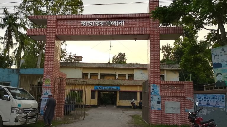 পিরোজপুরের ভান্ডারিয়ায় বন্ধুর হাতে বন্ধু খুন