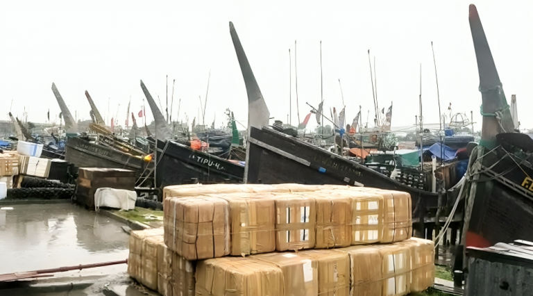 ভারতীয় জেলের অনুপ্রবেশ নিয়ে শঙ্কায় পটুয়াখালীর স্থানীয় জেলেরা