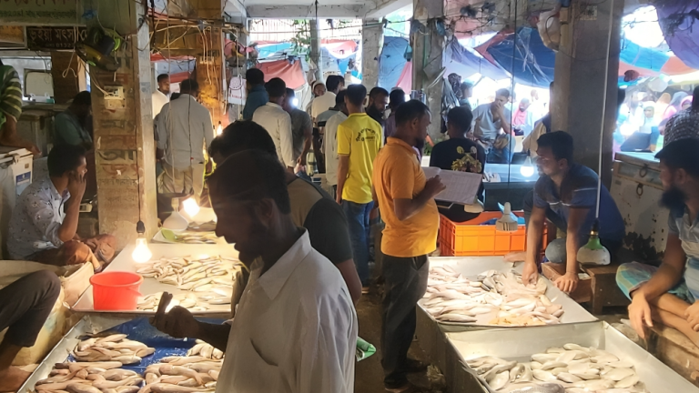 পটুয়াখালীর মাছ বাজারে প্রাণচাঞ্চল্য, সরবরাহে স্বস্তি
