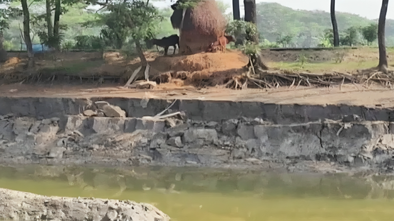কলাপাড়ায় ধসে পড়ল সড়ক