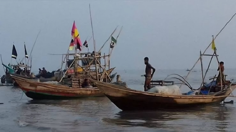 কুয়াকাটায় সমুদ্র থেকে নানা প্রজাতির মাছ ধরা পড়ছে
