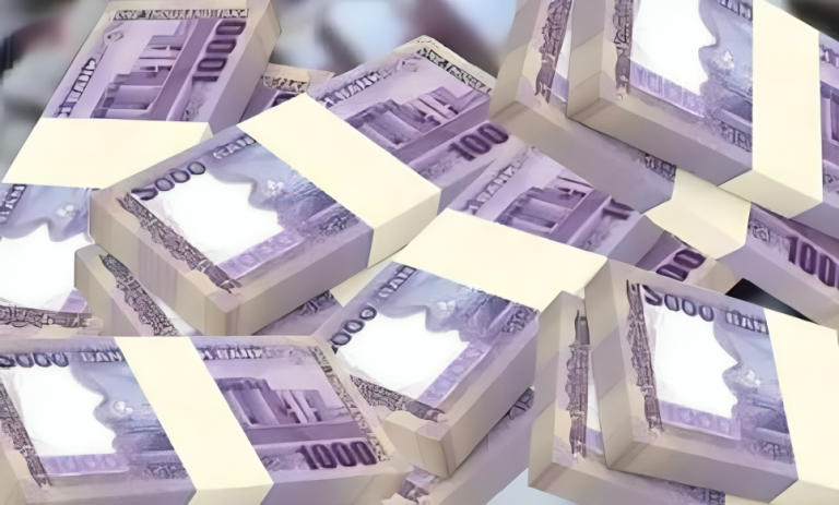 বাংলাদেশ ব্যাংকের ঋণ শোধে সরকারের নজর, বাণিজ্যিক ব্যাংকের উপর নির্ভরতা বৃদ্ধি