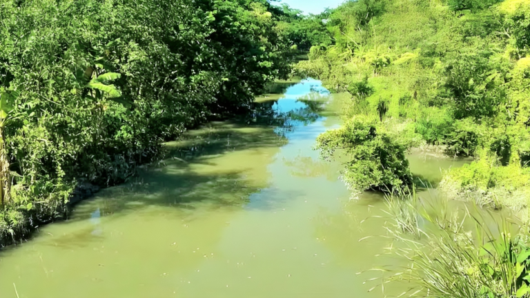 মুরাদিয়া নদী মরা খালে রূপান্তরিত: পুনরুজ্জীবনের দাবি স্থানীয়দের