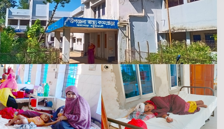 চিকিৎসকসহ জনবল সংকটে কলাপাড়া হাসপাতালের সেবা মারাত্মকভাবে ব্যাহত
