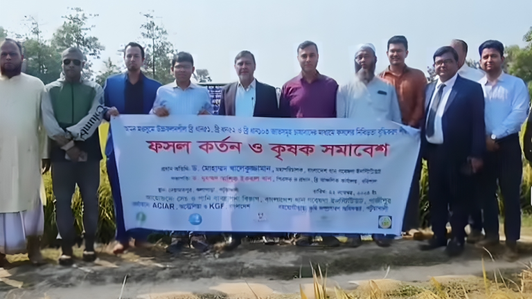 কলাপাড়ায় উচ্চফলনশীল ধানের চাষ নিয়ে মাঠ দিবস অনুষ্ঠিত