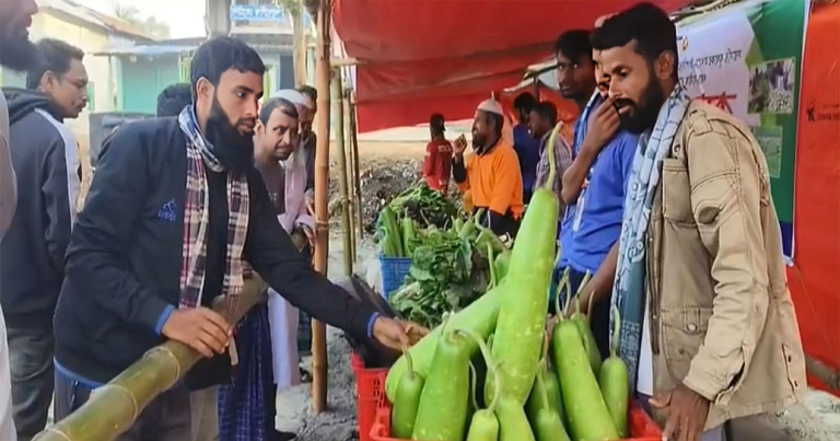 কলাপাড়ায় স্থাপিত হলো কৃষকদের সরাসরি সবজি বাজার