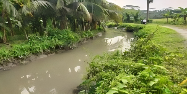 পিরোজপুরে খাল খননে অনিয়মের অভিযোগ
