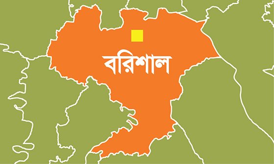 সাংবাদিকের ওপর হামলা, জাটকা ব্যবসায়ী তুহিন সিকদার কারাগারে