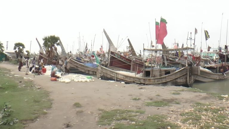 ইলিশ অভিযানের চালে,বিএনপির নেতার ভাগ বসানোর অভিযোগ