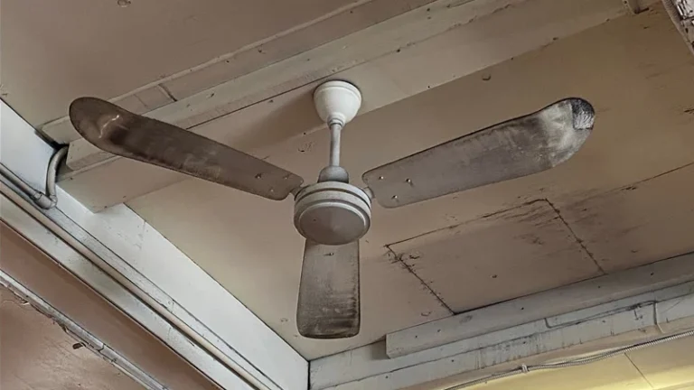 ফ‍্যানের গতি কমালে কি বিদ্যুৎ বিল কম আসে?