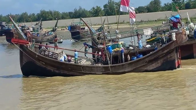 ইলিশ ধরার নিষেধাজ্ঞা শেষ: উপকূল জুড়ে কর্মচাঞ্চল্য