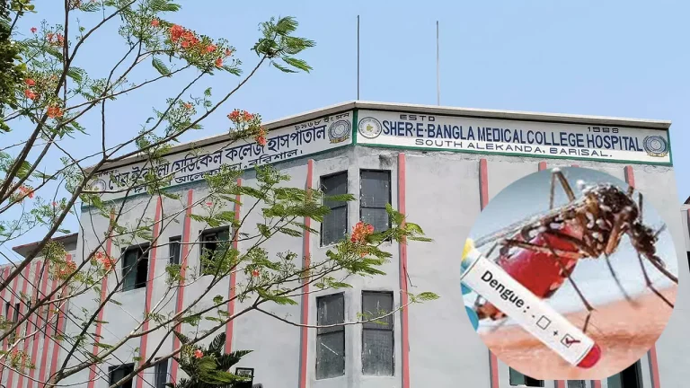 ডেঙ্গুতে বরিশাল বিভাগে আরও ৩ জনের মৃত্যু