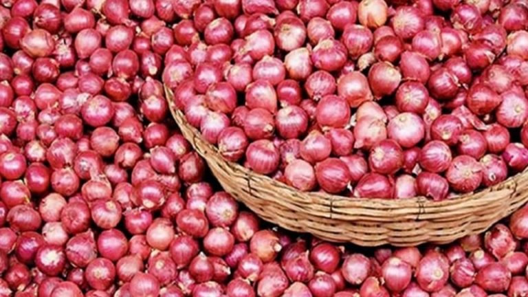 পেঁয়াজ আমদানিতে আরও শুল্ক কমানোর প্রস্তাব