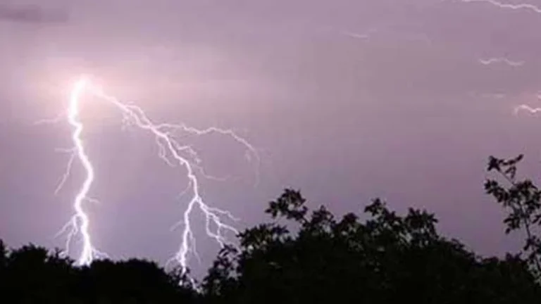 ভোলার চরফ্যাশনে পৃথক স্থানে বজ্রাপাতে নিহত ২