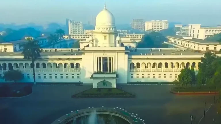  ডেঙ্গু নিয়ন্ত্রণে দ্রুত পদক্ষেপ নিতে হাইকোর্টের নির্দেশ