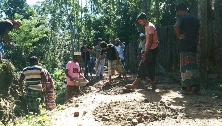 ঝালকাঠিতে স্বেচ্ছাশ্রমে রাস্তা সংস্কার করলো এলাকাবাসী