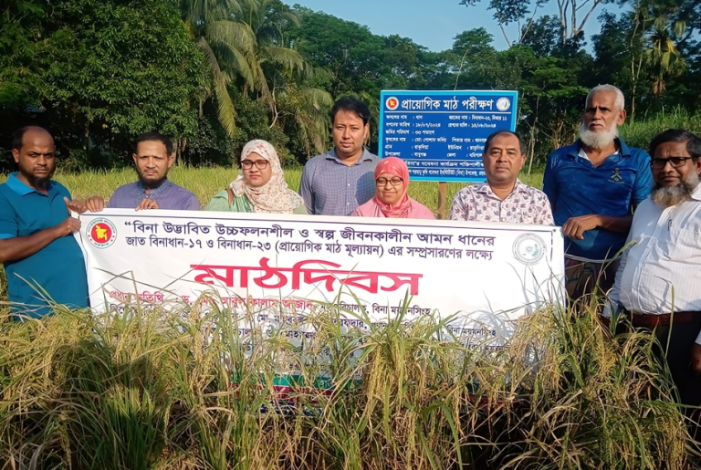  বরিশালের বাবুগঞ্জে বিনা ধান-১৭’র মাঠ দিবস উদযাপন