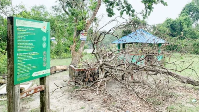 সংস্কারের অভাবে বরগুনার ইকোপার্কের বেহাল দশা