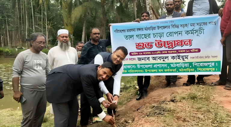 মঠবাড়িয়ায় তালের বীজ বপনের মাধ্যমে প্রাকৃতিক দুর্যোগ মোকাবেলা