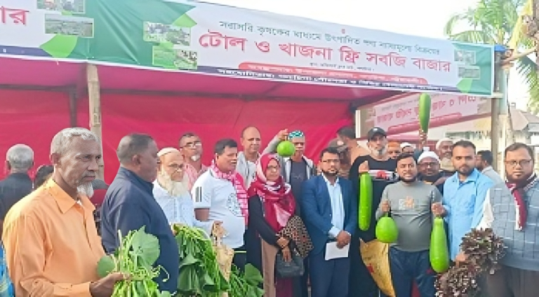 গলাচিপায় টোল ও খাজনা ফ্রি সবজি বাজার চালু