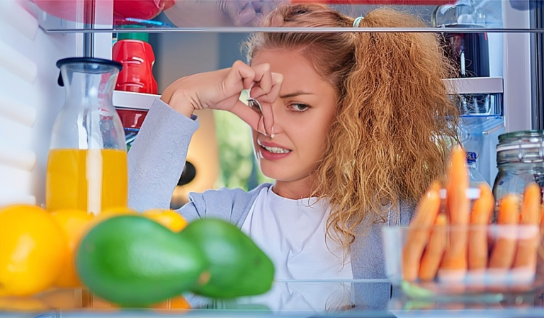 ফ্রিজের দুর্গন্ধ দূর করার কার্যকরী উপায়