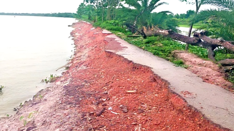 বরগুনায় বাঁধ সংস্কারের আশ্বাস, বাস্তবায়ন নেই