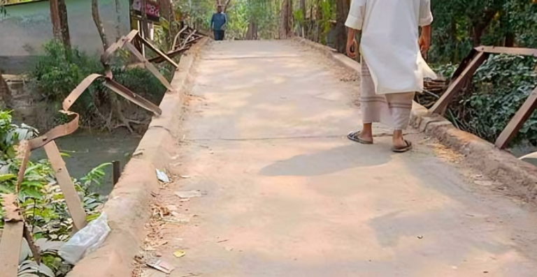 বাউফলের পশ্চিম কাছিপাড়া-গোপালিয়া সেতু মরণফাঁদে পরিণত