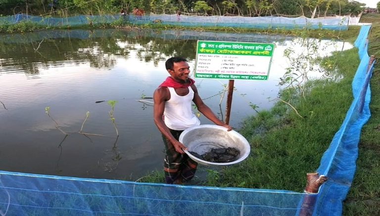 ভোলায় কাঁকড়া চাষে স্বাবলম্বী হচ্ছেন স্থানীয়রা