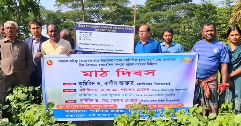 পটুয়াখালীতে কেনাফ চাষের মাঠ দিবস অনুষ্ঠিত