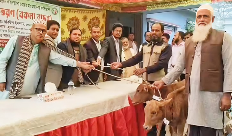 পটুয়াখালীর কলাপাড়ায় নিবন্ধিত জেলেদের মাঝে বকনা বাছুর বিতরণ