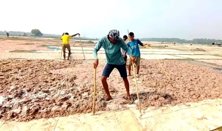 নাপ্পি: জনপ্রিয় খাদ্য, স্বাস্থ্যঝুঁকি এবং পরিবেশ বিপর্যয়