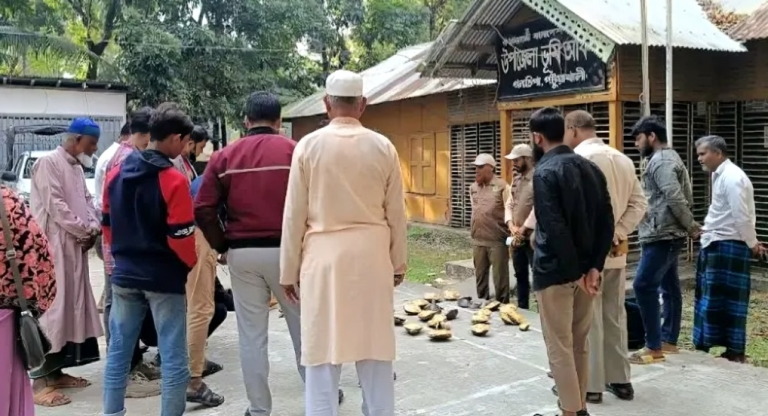 গলাচিপায় ২৬টি কচ্ছপসহ নারী আটক
