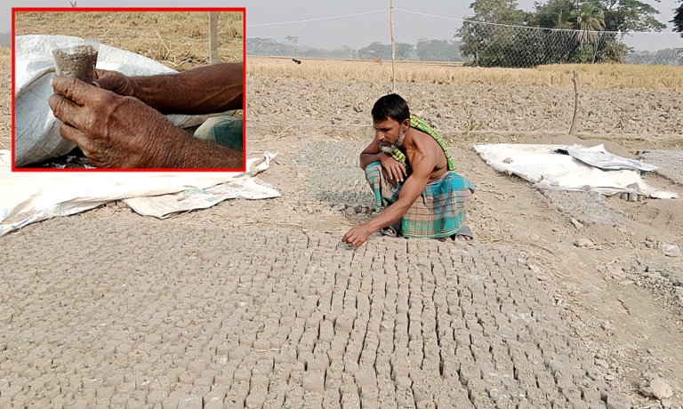 গলাচিপায় আগাম তরমুজ চাষে কৃষকদের নতুন আশা