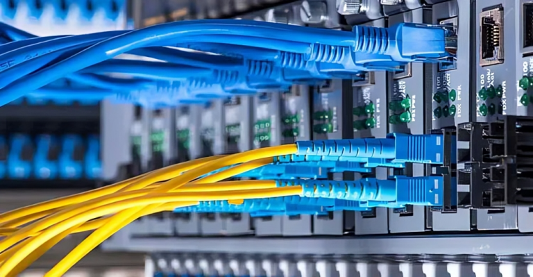 সাইবার সুরক্ষা অধ্যাদেশে ইন্টারনেট অধিকার নিশ্চিত