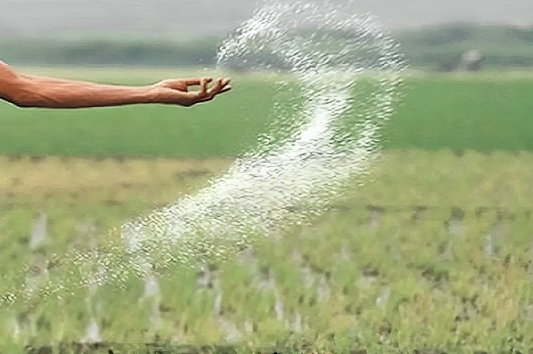 সরকারি সার ক্রয়ে ৬৩৪ কোটি টাকার অনুমোদন