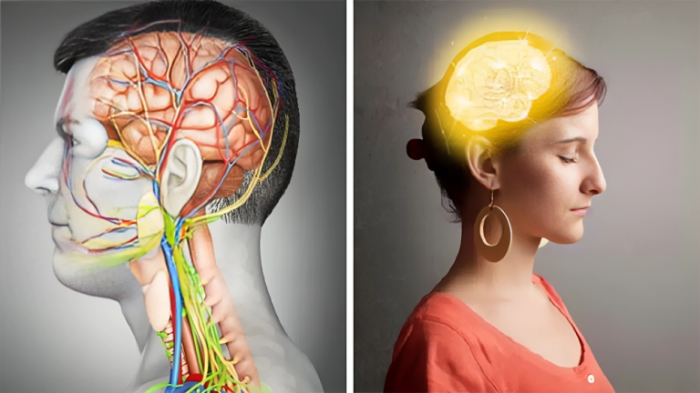 মস্তিষ্কের ক্ষতি করে যেসব অভ্যাস