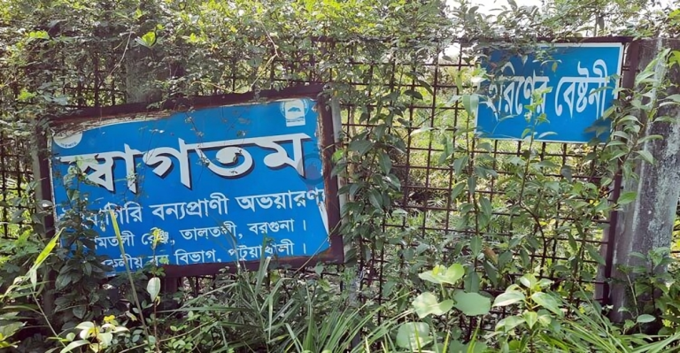  টেংরাগিরি ইকোপার্ক: অবহেলা ও সংস্কারের অভাবে বেহাল অবস্থা