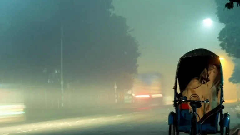 শৈত্যপ্রবাহ নিয়ে এলো নতুন তথ্য