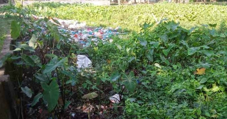 কলাপাড়ার জলাধারগুলোতে ময়লা-আবর্জনা, পুকুর ভরাট ও পানির সংকট