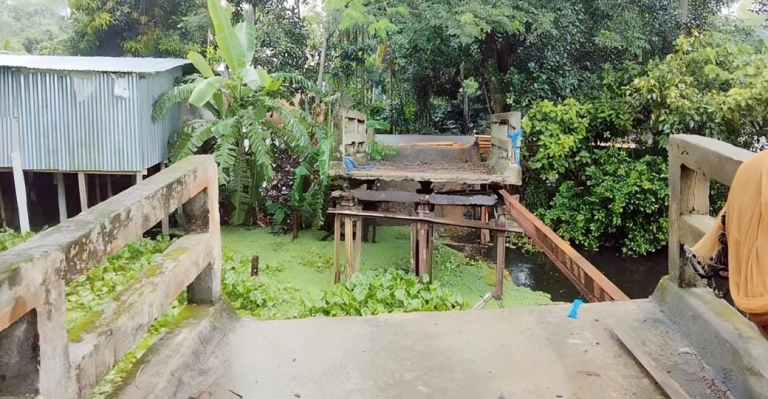 বরিশালে ধসে পড়ার ৮ মাসেও সংস্কার হয়নি সেতু, ভোগান্তিতে ৩ গ্রামবাসী