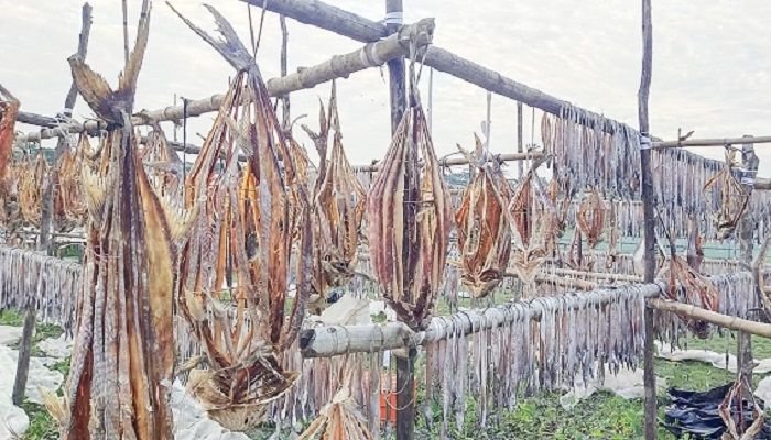 পিরোজপুরের গর্ব বিষমুক্ত শুঁটকি