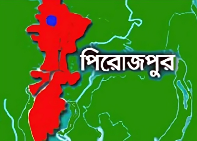 পিরোজপুরের ইন্দুরকানীতে চুরি আতঙ্ক